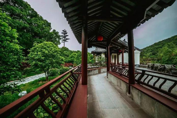 六种健脾养胃的食材，为你打造健康饮食之旅