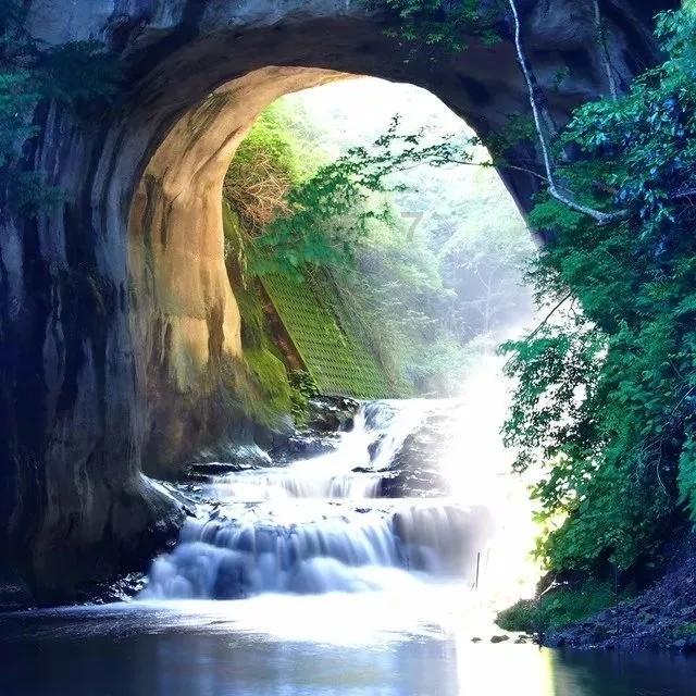 单峰逃脱