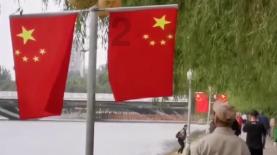 养猫后的生活有哪些改变？游戏画面